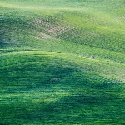 恐龙挖掘机2破解版下载